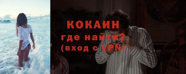 индика Кукмор