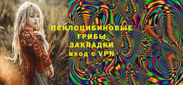 индика Кукмор