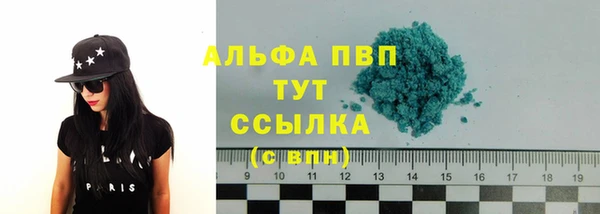 индика Кукмор