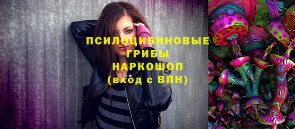 индика Кукмор
