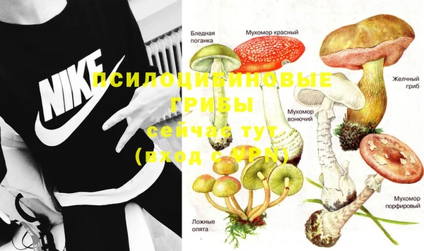прущая мука Кулебаки