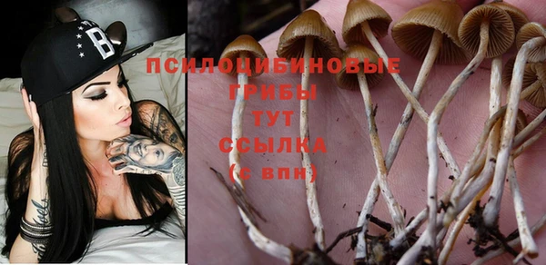 индика Кукмор