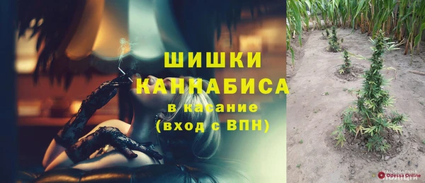 индика Кукмор