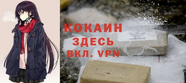 индика Кукмор