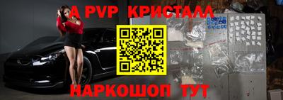 шишки Аргун