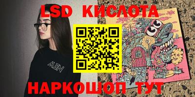 шишки Аргун