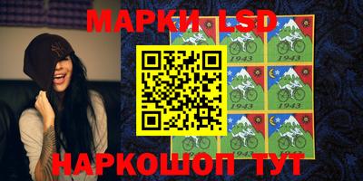 шишки Аргун