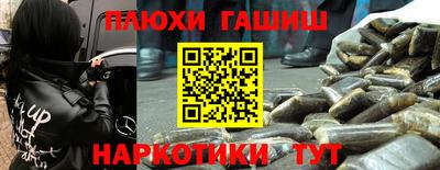 шишки Аргун