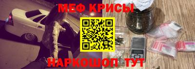 шишки Аргун