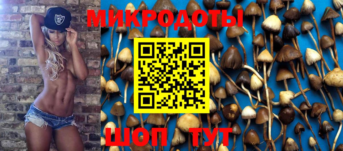 Галлюциногенные грибы Cubensis  Вход с VPN  Мыски 
