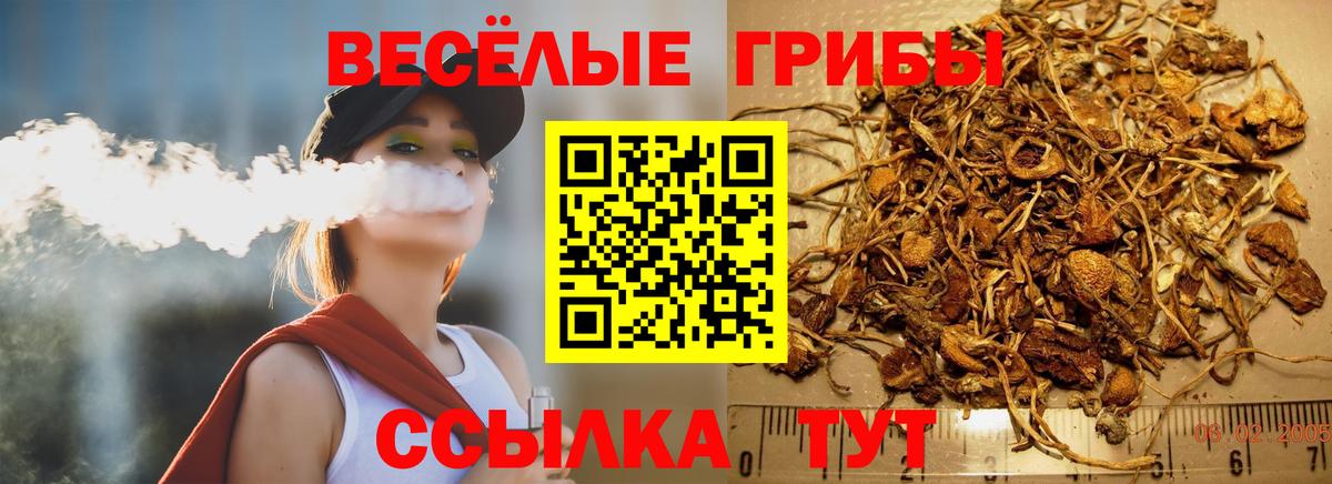 Псилоцибиновые грибы GOLDEN TEACHER  Мыски 